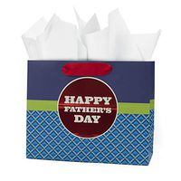 Hallmark Medium Father's Day Gift Bag with Tissue Paper (Red Circle on Blue)