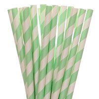 Biodegradable Paper Straws Mint Green Striped (50)