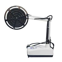 250W TDP Far Infrared Heat Lamp Non-Red Light Improve Blood Circulation Vertical: Adjustable Temperature and Time