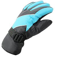 Winter Gloves, Bestpriceam Men's Waterproof Windproof Snow Snowboard Ski Sports Gloves (Blue)