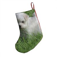 Christmas Decorations Stockings 18" Cute Bichon Frise Puppy Fabulous Big Xmas Socks for Home Decor