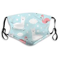 Reusable Dust Mouth Guard, Alpaca Llama Flamingo Breathable Half Face Guard with Replaceable Filter for Adults Kids
