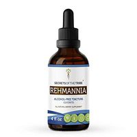 Rehmannia Tincture Alcohol-Free Extract, Organic Rehmannia (Rehmania Glutinosa) Dried Root Tincture Supplement (4 FL OZ)
