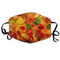 Cute Fashion Reusable Earloop Half Face Dust Proof Mouth Facial Protection Washable Outdoor Sports Cloth Face Facial Protection Black Mouth for Pollen Dust Green Leaf Redleaf Leaf