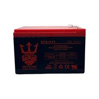 Neptune 12V 15Ah F2 Replacement Battery for cb12-12 np12-12 bp12-12 es12-12 ub12120 SLA Sealed Lead Acid NT12-15 F2