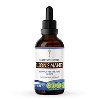 Lion's Mane Tincture Alcohol-Free Extract, Organic Lion's Mane (Hericium erinaceus) Dried Mushroom Tincture Supplements (4 fl oz)