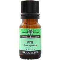 Pine Needle 100% Pure Essential Oil - 10 ml