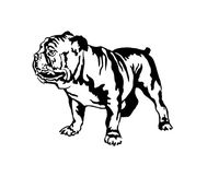 Cute english bulldog Vinyl Decal Sticker dog pet (BLACK)