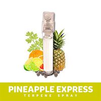 Kind Terpenes - Flower Terpene Spray Pineapple Express Strain Specific 1.8 ml