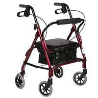 Medical Walker with Padded Seat, Four Wheel Rollator Walker Fold Up and Removable Back Support Ergonomic Handles, and Carry Bag, Limited Mobility Aid