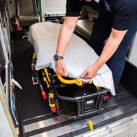 Graham Professional 3 Ply Bed Sheet, White, 40" x 90", 50/cs