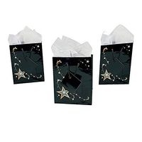 Fun Express Small Gold Star Gift Bags with Tags | 12 Count | Great for Birthday Party, Wedding Favor, Graduation Party