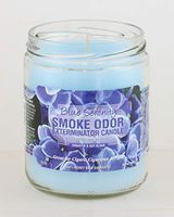 Smoke Odor Exterminator 13oz Jar Candles (Blue Serenity, 2)
