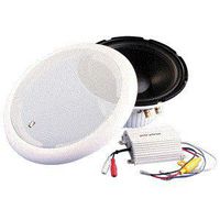 PolyPlanar 10" Panel Mount Subwoofer w/Amplifier (MS250) (17089)