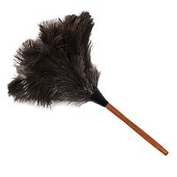 PNBB 16.9" Ostrich Feather Duster with Wooden Handle