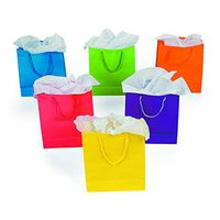 Fun Express Medium Neon Gift Bags, 1-Dozen, 9-Inch Tall