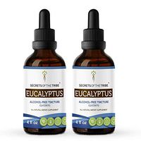 Eucalyptus Alcohol-Free Liquid Extract, Organic Eucalyptus (Eucalyptus Globulus) Dried Leaf Tincture Supplement (2x4 FL OZ)