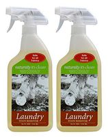 Naturally It's Clean Laundry Stain Remover; Safely Removes Grass, Wine, Coffee, Ink, Grease, Oil, Food and Makeup Stains Without Harming Fabrics, Non-Toxic, Pet&Child Safe, 24oz Spray Bottle x 2 Pack