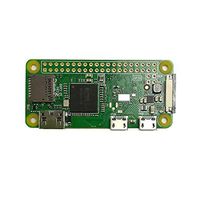 Raspberry Pi Zero W (Wireless) ( 2017 model)