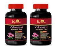 antioxidant Energy - Echinacea & Goldenseal Root 300MG - Immune Fortifier - 2 Bottles (120 Capsules)