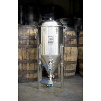 Eagle FE814 Chronical Conical by SS Brewtech, 14 gal