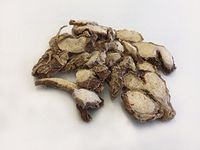 Reizoma Kaempferiae | Kaempferia galanga | Sha Jiang Pian | 砂姜片