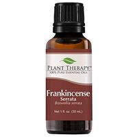 Plant Therapy Frankincense Serrata Essential Oil 100% Pure, Undiluted, Natural Aromatherapy, Therapeutic Grade 30 mL (1 oz)