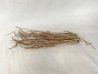 党参 (甘肃) | Radix Codonopsis (From Gan Su)