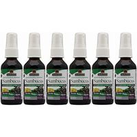 Natures Answer Sambucus Spray, 2 Ounces each (Value Pack of 6)