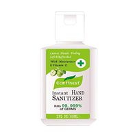 LiLiMeng Fresh Fruity Hand Sanitizer Foam Alcohol Free Foaming Hand Sanitizer Pump No Rinse Foam Hand Soap Gel 60ml Green