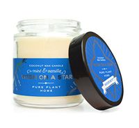 Pure Plant Home Apothecary Jar Vegan Coconut Wax 100% Pure Essential Oils 3.1 ounce wish on a star holiday candle