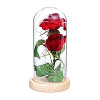 LEDMOMO "Beauty the Beast" Red Silk Rose and Led Light in a Glass Dome on A Wooden Base for Wedding Birthday Party Club Decoration