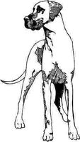 ELKS Unique Design Standing Great DANE Dog CAR Decal Sticker, Black, 8 Inch, Die Cut Vinyl Decal, for Windows, Cars, Trucks, Toolbox, Laptops, MacBook-virtually Any Hard Smooth Surface
