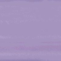 amscan Striking Solid Color Gift Wrap with Hang Tab Party Supply, Lavender, Paper , 5' X 30" Party Supplies