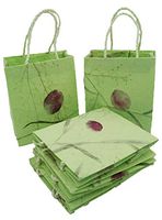 NAVA CHIANGMAI Natural Mulberry Paper Kraft Bags, Handled Bags, Small Gift Bags for Birthday, Weddings Presents, Shopping Gift Merchandise Party (Green)