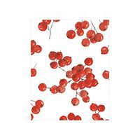 Caspari Berry Gathering Gift Enclosure Cards, 20 with Envelopes