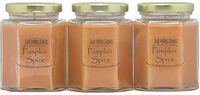 3 Pack - Pumpkin Spice Scented Blended Soy Candle | Great Smelling Fall Fragrance | Hand Poured in The USA by Just Makes Scents