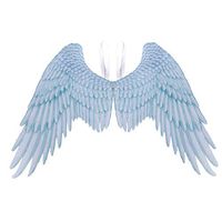 Angel Devil Feather Wings Halloween Mardi Gras Cosplay Pretend Play Dress Up Costume Accessory for Kids Girls Boys Ash Black Costume Cosplay Eagle Wings for Adult Wings Dress up Costume Accessory