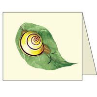 Snail Card, Pack of 12