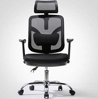 Feceyq Executive Office High Back Elastic Mesh Chair - Black High Back Office Chair - High Density Foam Chair Ergonomic Computer Chair Office Chair Home Swivel Chair Staff Chair