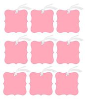 48pack Elegant Blank Contoured Frame Decorative Chrismas Holiday Wedding Birthday Gift Tags (Pink)