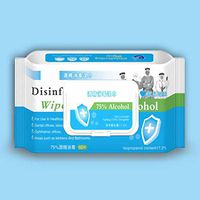 Disposable Wet Wipe 75% Alcohol Wipes Phone Eyeglass Disinfection Wipe 60 Pieces