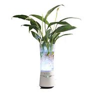 AiTURE 8-in-1 Essential Oil Diffuser with 2000mAh Bluetooth Speaker and Computer Speaker, Aromatherapy Diffuser with Color LED Night Light,Flower Bottle,Hydroponic Vase (White)