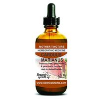 Carduus Marianus Q - Mother Tincture - Supports Liver, Gallbladder & Pancreatic Function. Aids in Detoxification. 2.0 Fl Oz - Made in USA (Alcoholic Extract)