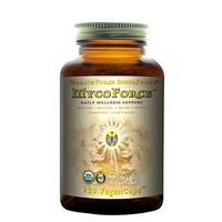 HealthForce SuperFoods MycoForce - 120 Vegan Capsules - Shiitake, Maitake, Reishi & Chaga Mushroom Supplement, Immune Booster - Organic, Gluten Free - 60 Servings
