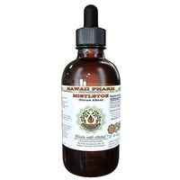 Mistletoe Alcohol-Free Liquid Extract, Organic Mistletoe (Viscum Album) Dried Herb Glycerite 4 oz