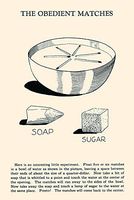 Posterazzi PDX376223LARGE The Obedient Matches Photo Print, 24 x 36, Multi