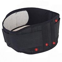 Ellis Adjustable Self-Heating Waist Support Belt Lumbar Back Waist Brace for Blood Improve Pain Relief