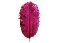 Moonlight Feather | 10 Pieces - 14-17" Magenta Ostrich Dyed Drab Body Feathers Centerpiece Wedding Halloween Party Supply