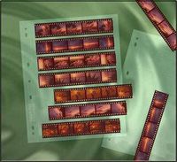 Clear File 12B Negative Page (25 pack) 7 Strips of 5 Negatives